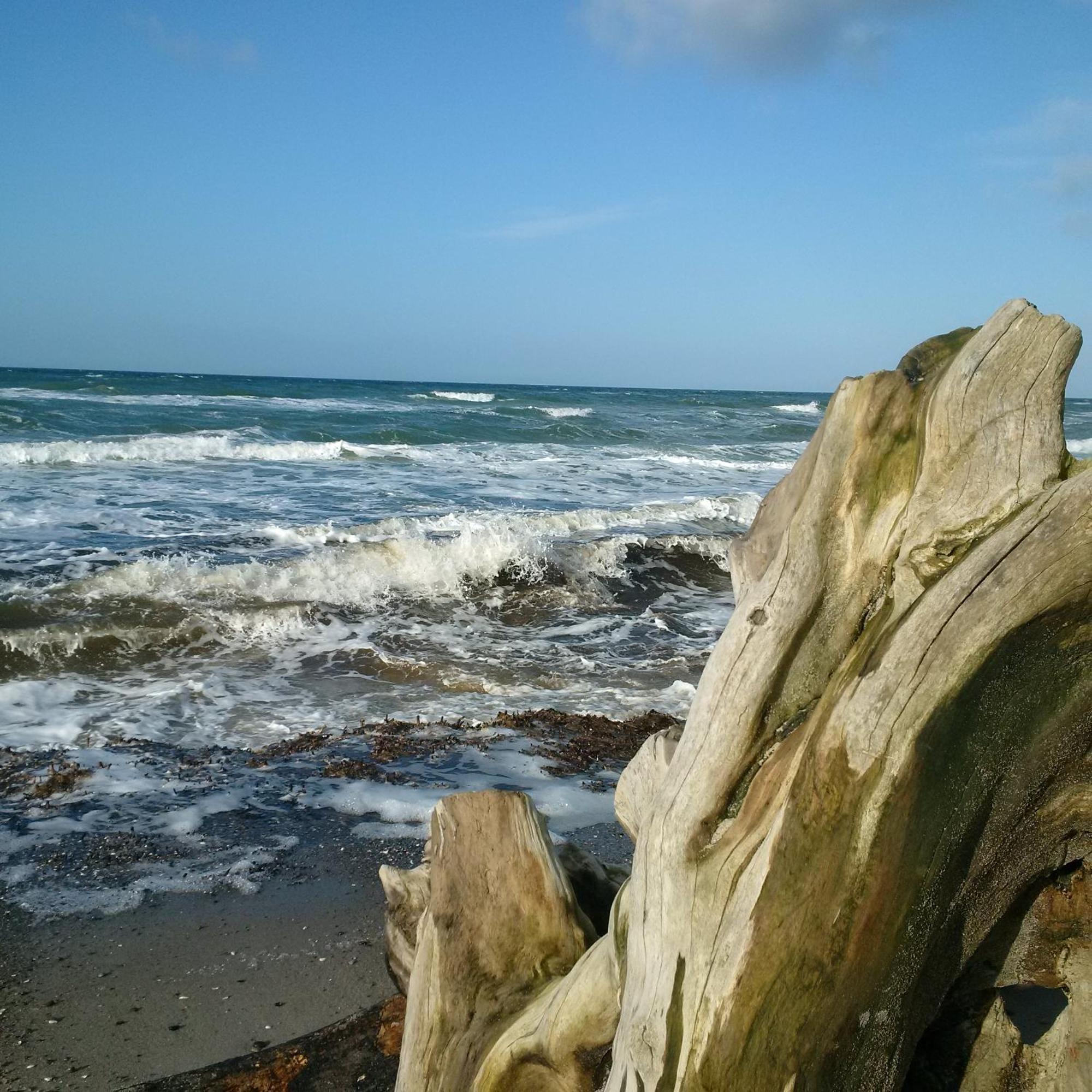 Duene-9 In Dierhagen-Strand ห้อง รูปภาพ